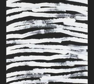 Cuadro Zebra