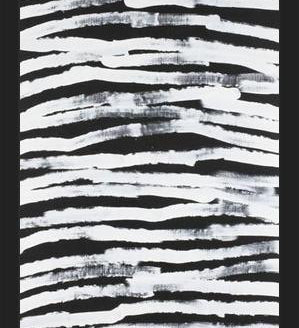 Cuadro Zebra