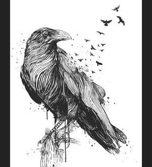 Cuadro Born to be free (bw)