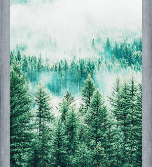 Cuadro Forest and Fog