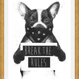 Cuadro Rebel Dog