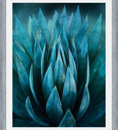 Cuadro Blue Succulent
