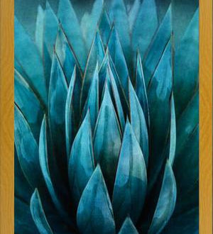Cuadro Blue Succulent