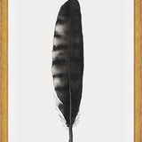 Cuadro Pluma Acuarela 3