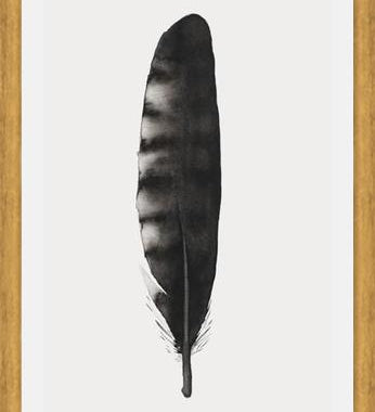 Cuadro Pluma Acuarela 3