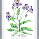Cuadro alstroemeria