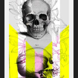 Cuadro Skull in Summer