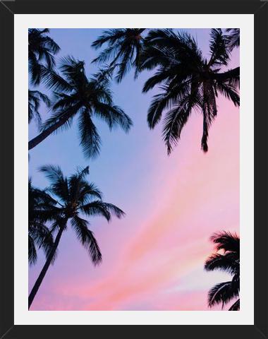 Cuadro Sunset Palms