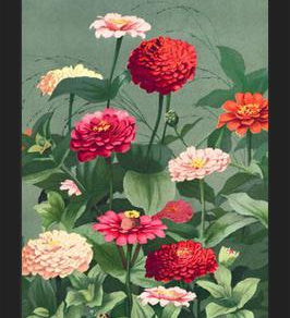 Cuadro Flores