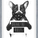 Cuadro Rebel Dog
