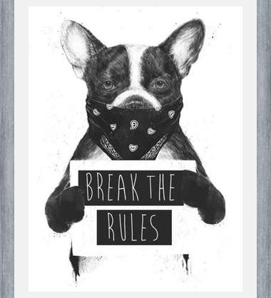 Cuadro Rebel Dog