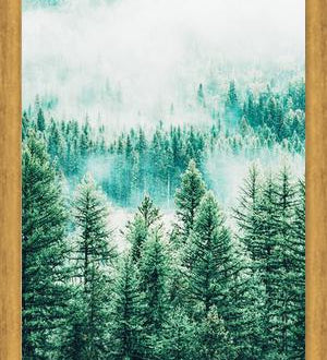 Cuadro Forest and Fog
