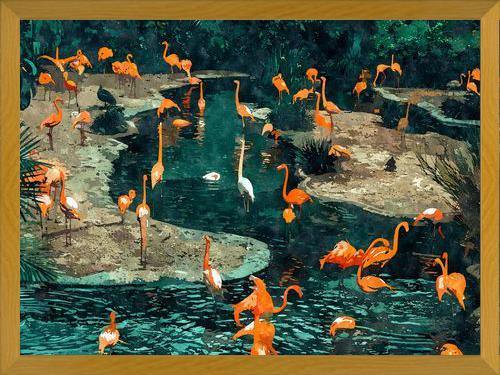 Cuadro Flamingo Creek
