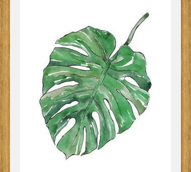 Cuadro Monstera Deliciosa