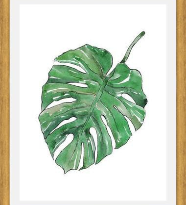 Cuadro Monstera Deliciosa