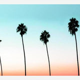 Cuadro Sunset Boulevard