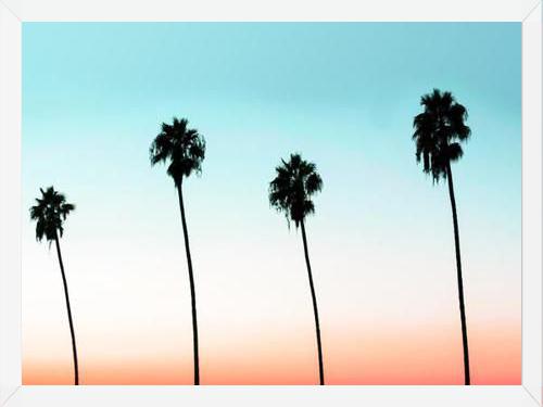 Cuadro Sunset Boulevard