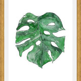 Cuadro Hoja Monstera