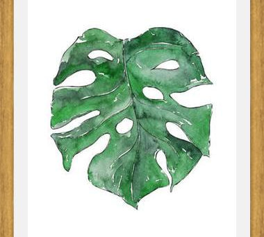 Cuadro Hoja Monstera