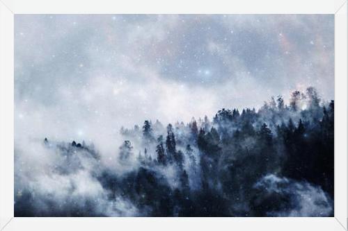 Cuadro las estrellas brillan en el bosque niebloso