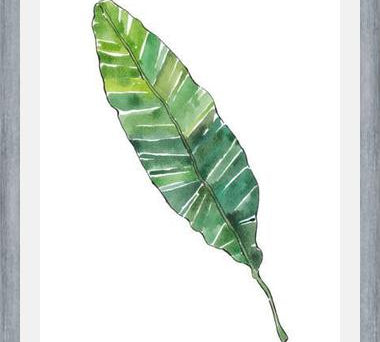 Cuadro HOJA DE PLATANO