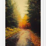 Cuadro Autumnal Landscape 3