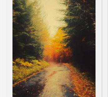 Cuadro Autumnal Landscape 3