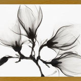 Cuadro Magnolia