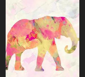 Cuadro Abstract Elephant