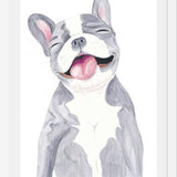 Cuadro Bulldog Frances Gris