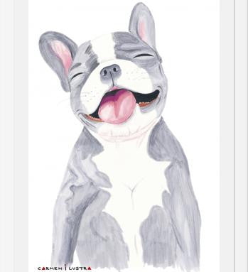 Cuadro Bulldog Frances Gris