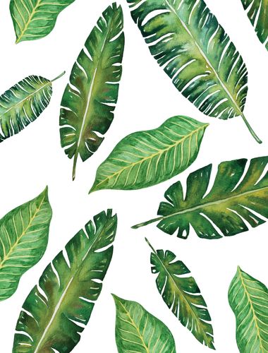 Canvas Tropical Leaves