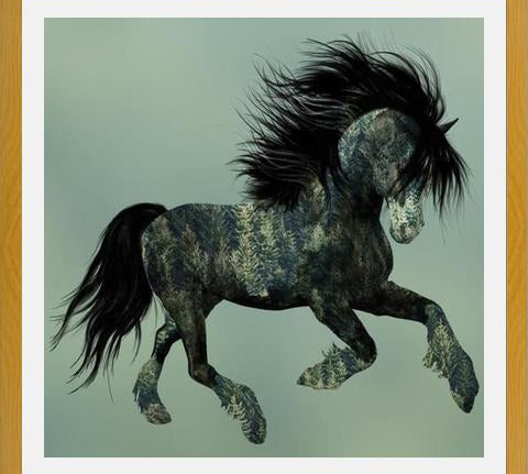 Cuadro Horse Exposure