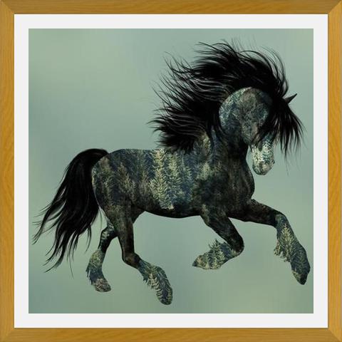 Cuadro Horse Exposure
