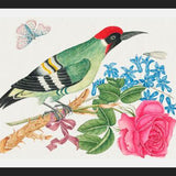 Cuadro Pájaro carpintero