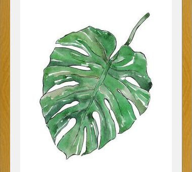 Cuadro Monstera Deliciosa