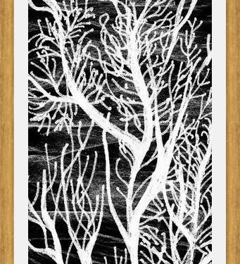 Cuadro Colección Texturas del Desierto - 2