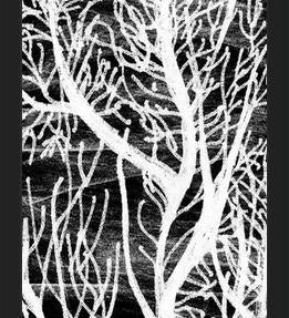 Cuadro Colección Texturas del Desierto - 2