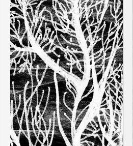 Cuadro Colección Texturas del Desierto - 2