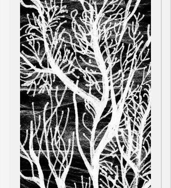 Cuadro Colección Texturas del Desierto - 2