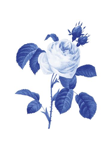 Canvas Blue Botanical