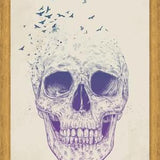 Cuadro Let them Fly
