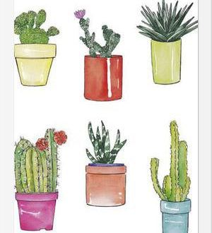 Cuadro CACTUS & PASTEL