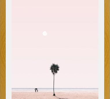 Cuadro La Palmera