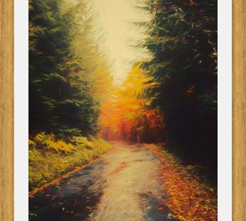 Cuadro Autumnal Landscape 3