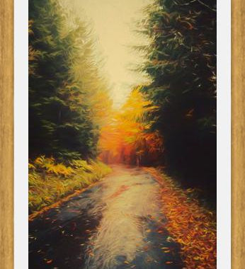 Cuadro Autumnal Landscape 3