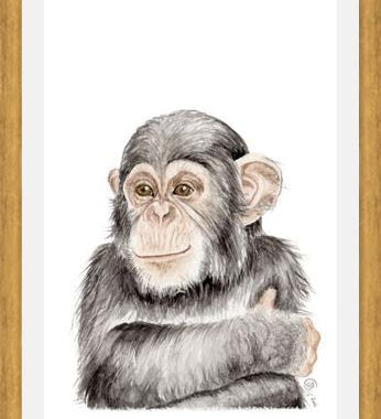 Cuadro Chimpancé