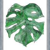 Cuadro Hoja Monstera