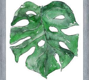 Cuadro Hoja Monstera