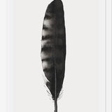 Cuadro Pluma Acuarela 3